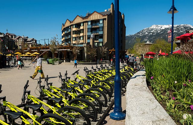 Bike rentals