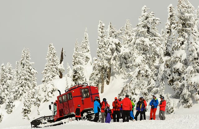 Cat skiing
