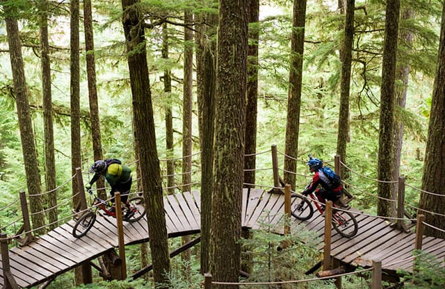 Whistler Mountain Bike Park