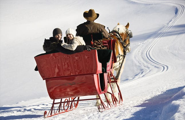 Horse sleigh ride