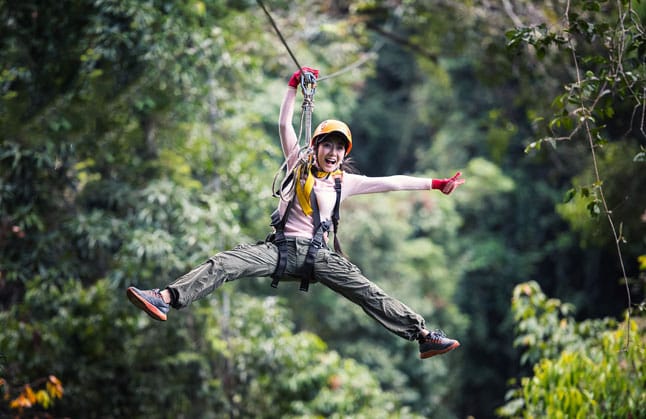 Zipline and treetop tours