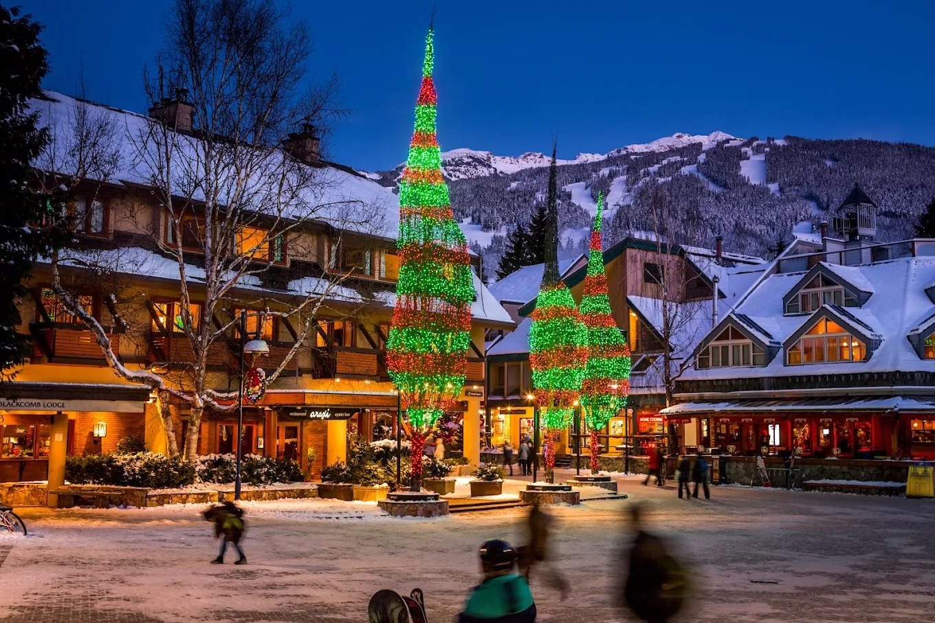 Whistler Village at dusk with lit holiday trees
